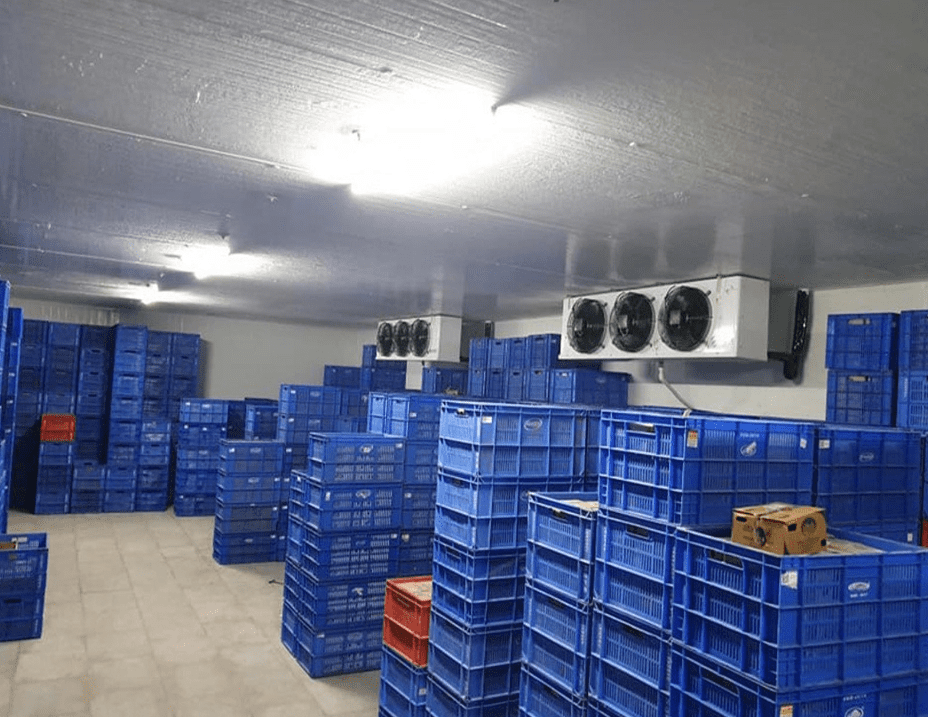 Ice Cream Freezer Rooms UAE