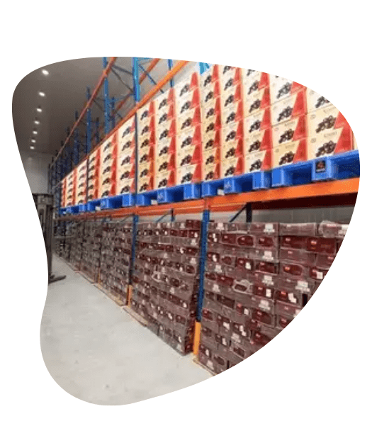 Dates Storage Freezer Rooms UAE
