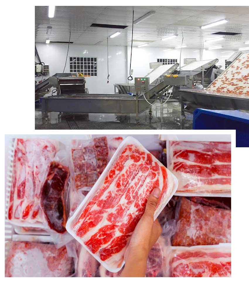 Frozen Meat Freezer Rooms UAE